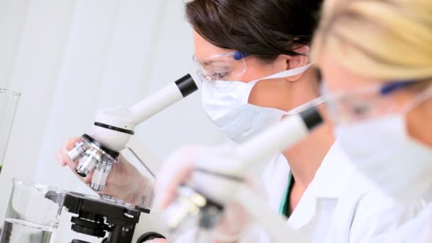 Medical Researchers Using Microscopes in Laboratory - Footage, Video