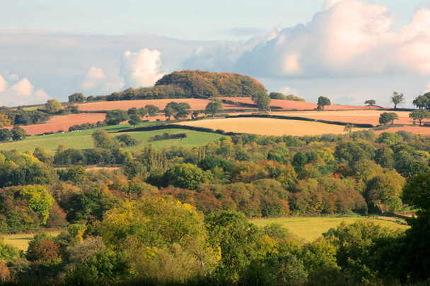 Un idilio rural en un día soleado. Vista desde la colina sobre el bosque y los campos. Dover, Kent, Sureste de Inglaterra
. - Foto, Imagen