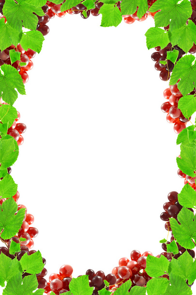 Frame grapes - Zdjęcie, obraz