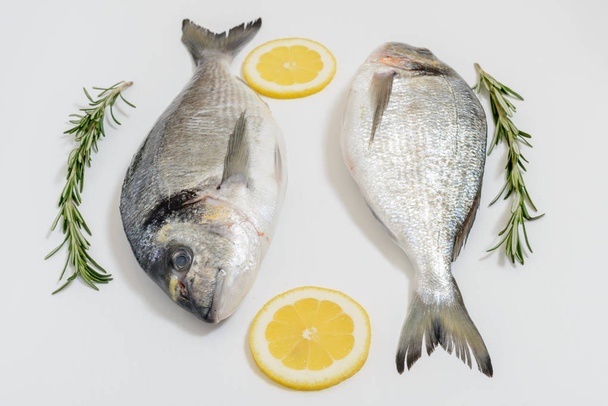Dwie ryby świeże dorada z cytryna i rozmarynem na białym tle - Zdjęcie, obraz