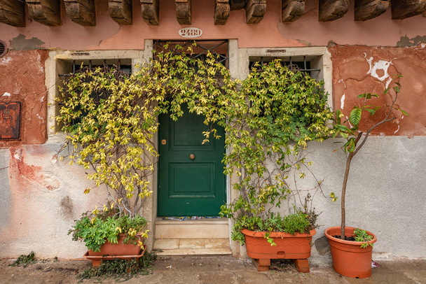 Doorway in Venice, Italy with overgrown pot plants. - Fotografie, Obrázek