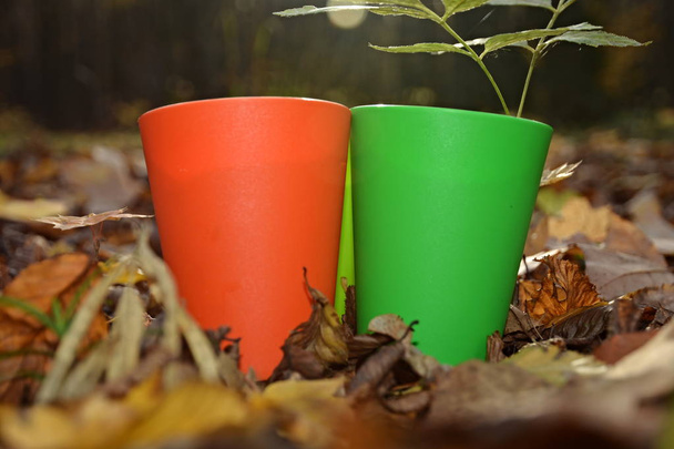 Tasses en plastique coloré dans une forêt sur un rondin - Photo, image