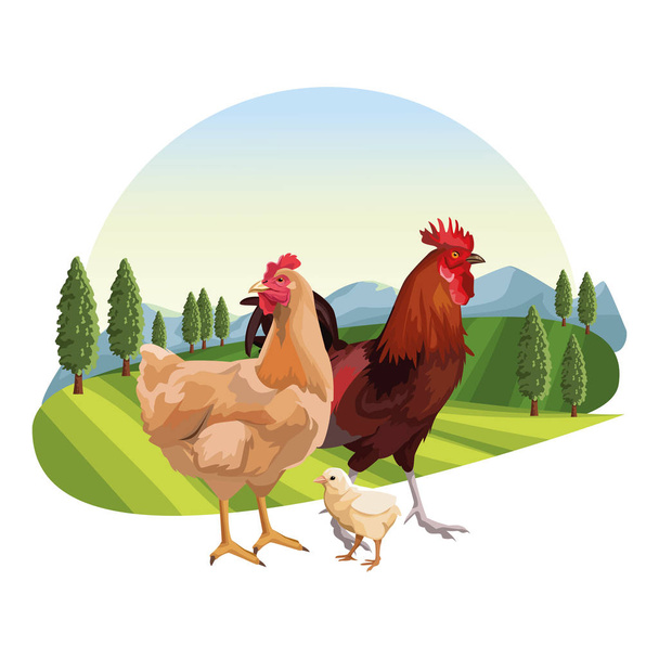 Chicken and roaster - Vector, Image
