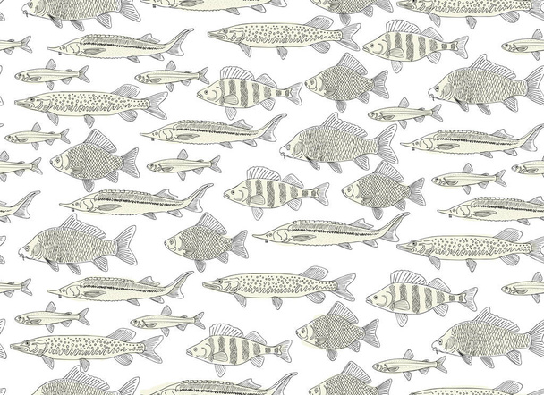 Fish collection, seamless pattern for your design - Vektor, Bild