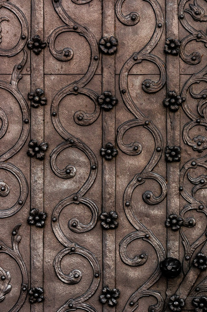 Old metal door - Fotografie, Obrázek