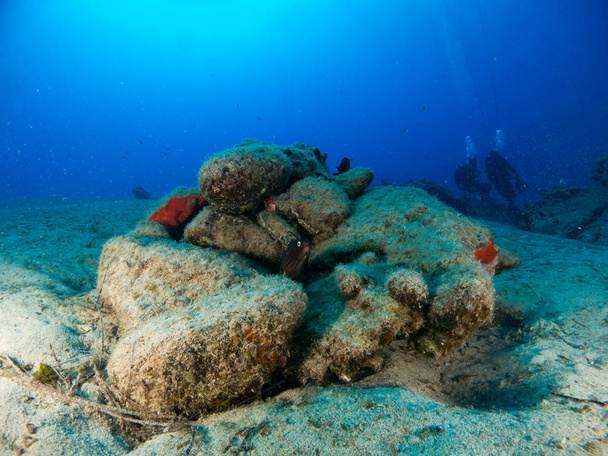 fondo marino azul en la costa brava con corales y macro - Foto, Imagem