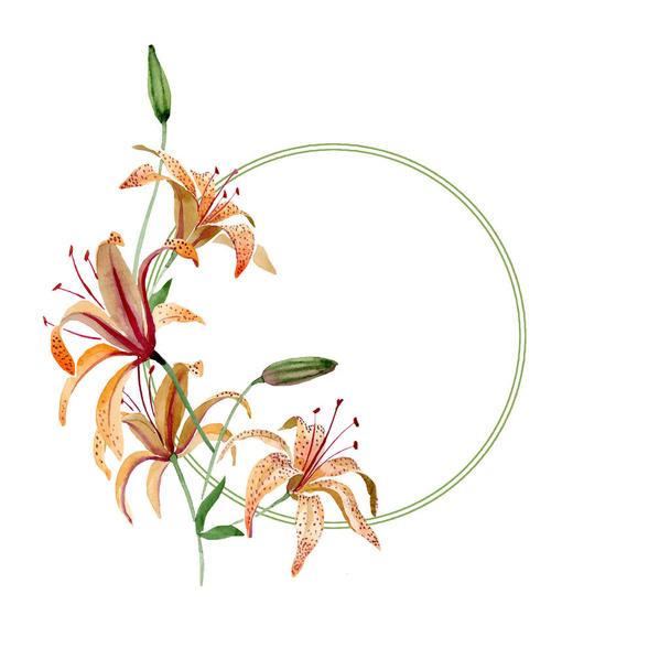 Orangenlililium blühende botanische Blume. Aquarell Hintergrundillustration Set. Rahmen Rand Ornament Quadrat. - Foto, Bild