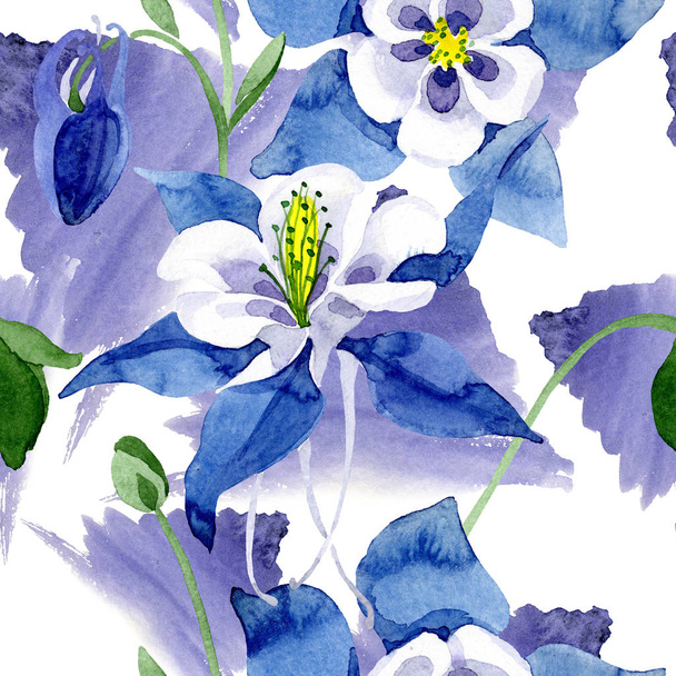 Blue aquilegia floral botanical flower. Watercolor background illustration set. Seamless background pattern. - Foto, Imagem