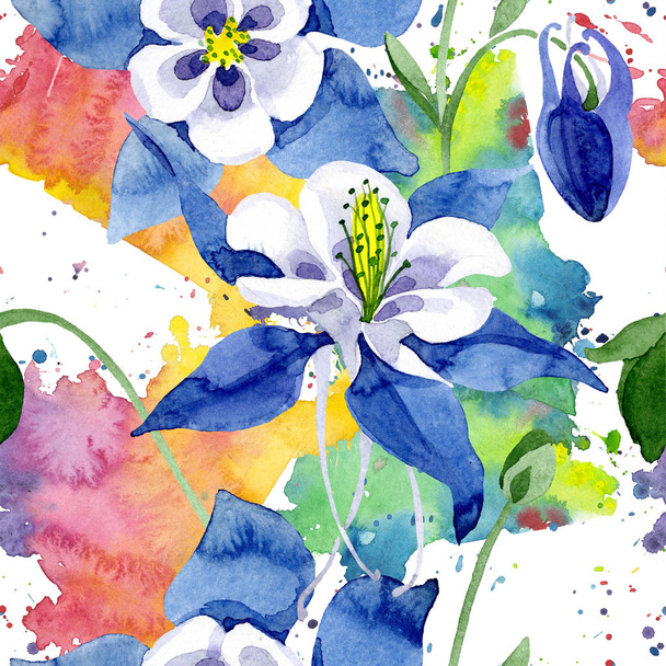 Blue aquilegia floral botanical flower. Watercolor background illustration set. Seamless background pattern. - Fotoğraf, Görsel