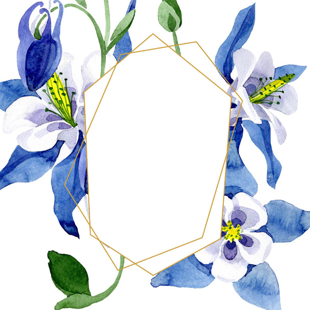 Fleur botanique florale aquilegia bleue. Ensemble d'illustration de fond aquarelle. Cadre bordure ornement carré
. - Photo, image
