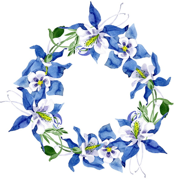 Μπλε aquilegia floral βοτανικό λουλούδι. Άγρια άνοιξη φύλλων wildflower απομονωμένη. Ακουαρέλα φόντο εικόνα σύνολο. Ακουαρέλα σχεδίασης μόδας aquarelle απομονωμένη. Πλαίσιο συνόρων στολίδι τετράγωνο. - Φωτογραφία, εικόνα