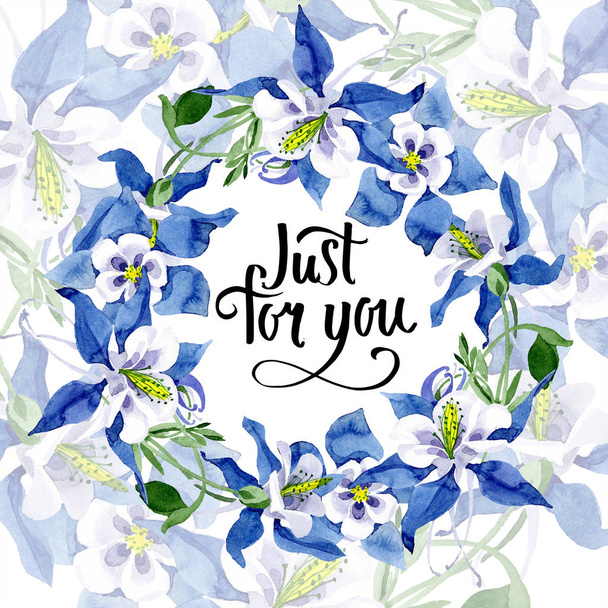 青いオダマキの花植物花。水彩画背景イラスト セット。フレーム枠飾りスクエア. - 写真・画像