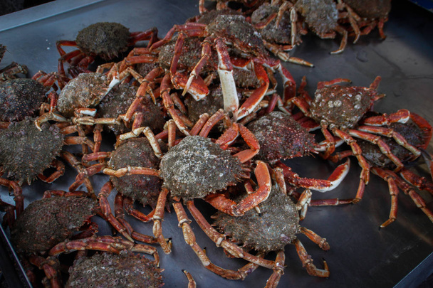 Des crabes frais et crus se trouvent sur le comptoir près de la côte de la mer de Kelst en Normandie française
 - Photo, image