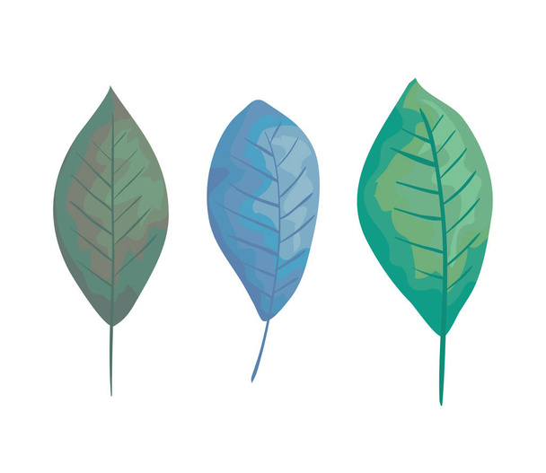 ecology leafs plants styles - Vector, Image