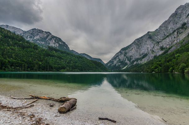 Розтягнута деревина біля озера в горах
 - Фото, зображення