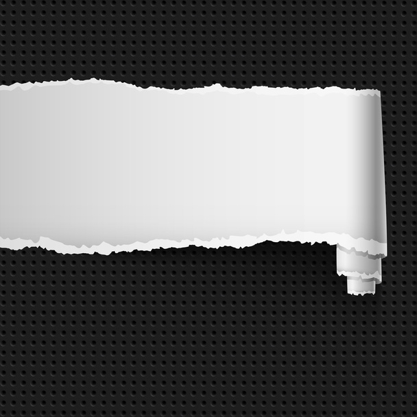 Curl de papel branco
 - Vetor, Imagem