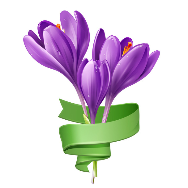 Spring flowers with green ribbon - Vector, Image