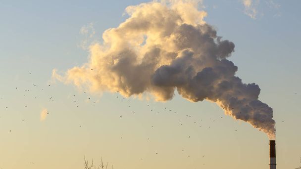 ρύπανση. ο καπνός από βιομηχανικές καμινάδες κατά το γαλάζιο του ουρανού - Φωτογραφία, εικόνα