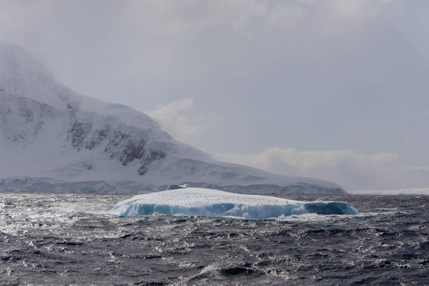 Eisberg in der Antarktis - Foto, Bild
