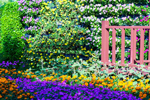 Ahşap köprü dekorasyonda rahat ev çiçek Bahçe ve çiçek pot yaz. - Fotoğraf, Görsel