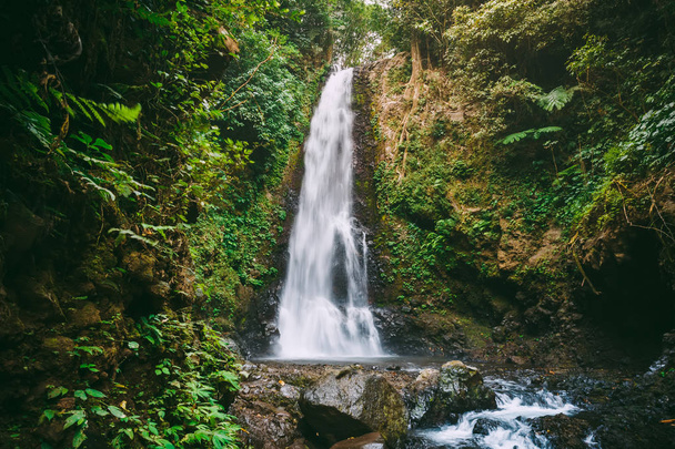 Powerful waterfall in tropical jungle in Bali. Beautiful place for tourism - 写真・画像