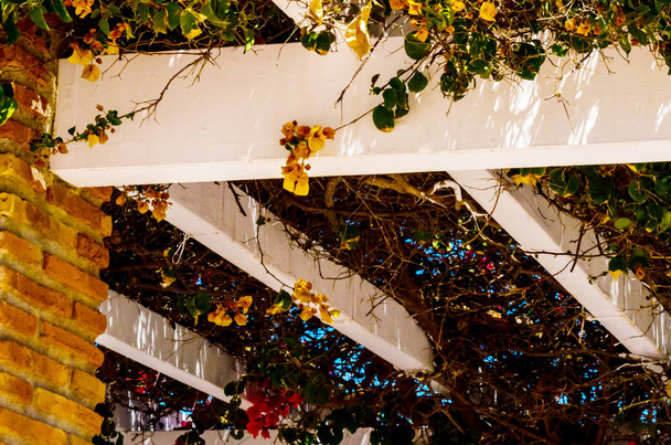 primer plano en un hermoso cenador cubierto de plantas trepadoras con flores de colores, lugar de relax, arquitectura
 - Foto, imagen