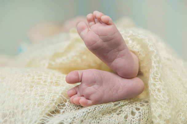 newborn baby feet in blanket - Photo, Image