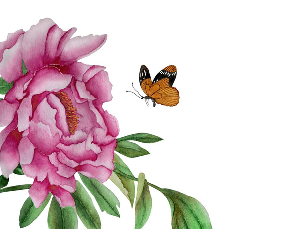 Sull'illustrazione ad acquerello un delicato, grande fiore di peonia rosa con una bella farfalla vicino. Illustrazione eseguita in stile tradizionale cinese, isolata su sfondo bianco
. - Foto, immagini