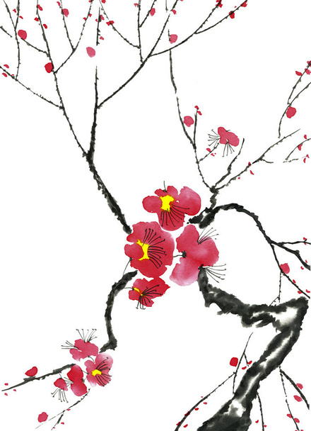A branch of a blossoming tree. Pink and red stylized flowers of plum mei, wild apricots and sakura . Watercolor and ink illustration in style sumi-e, u-sin. Oriental traditional painting.   - Fotografie, Obrázek