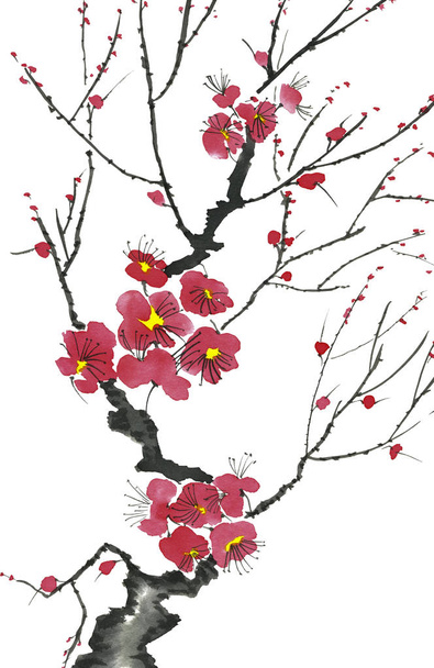 A branch of a blossoming tree. Pink and red stylized flowers of plum mei, wild apricots and sakura . Watercolor and ink illustration in style sumi-e, u-sin. Oriental traditional painting.   - Фото, зображення