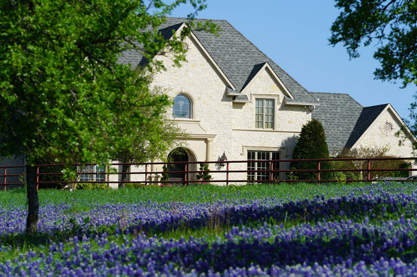 Μεγάλο εξοχικό σπίτι με το πεδίο των wildflowers Bluebonnet κοντά σε Ennis, Τέξας - Φωτογραφία, εικόνα