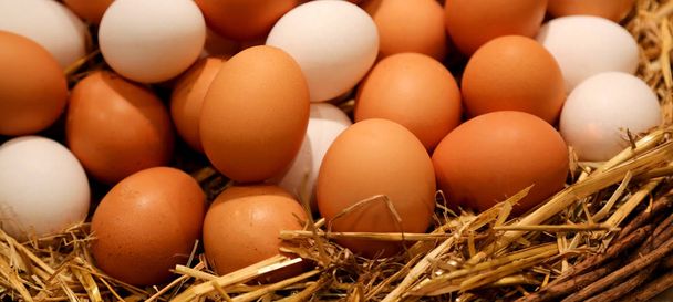 panier avec beaucoup d'œufs de poulet frais collectés dans le poulailler
 - Photo, image