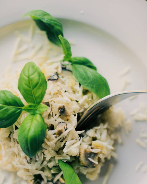 Avrupa ve Akdeniz yemekleri kavramı - mantarlı risotto tarifi, zarif görsel tarz - Fotoğraf, Görsel