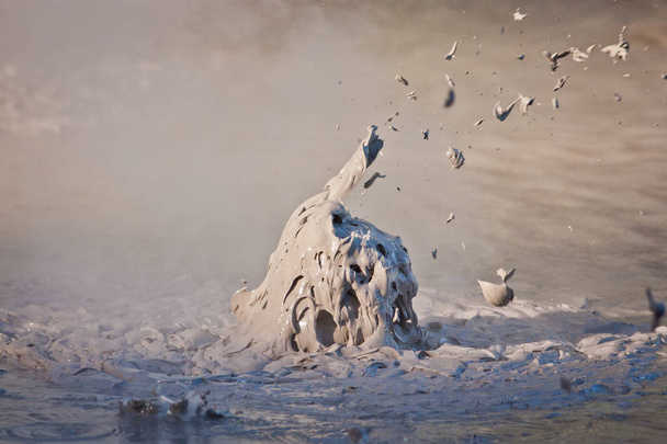 Olla de barro burbujeante en parque geotérmico en Nueva Zelanda
 - Foto, imagen
