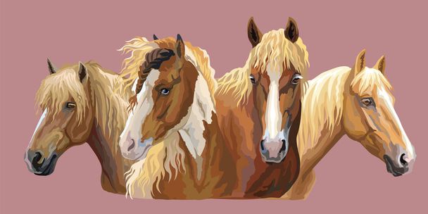 Набор красочных векторных портретов пород лошадей (Российская тяжелая драфт-лошадь; Белорусская упряжная лошадь; Фризская лошадь) выделен на розовом фоне
 - Вектор,изображение
