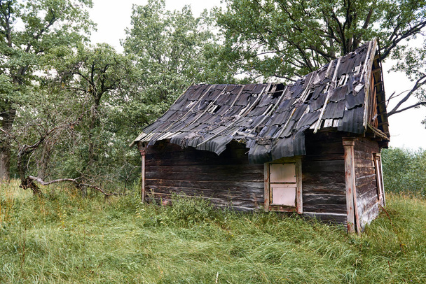 vecchia casa in legno nel bosco - Foto, immagini