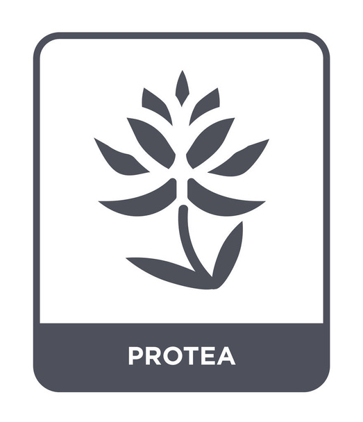Protea ikona v módní design stylu. Protea ikona izolovaných na bílém pozadí. Protea vektorové ikony jednoduché a moderní Béčko. - Vektor, obrázek