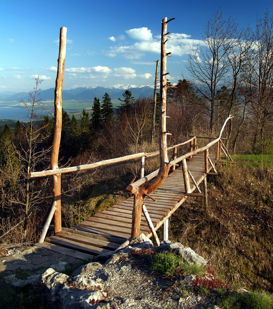 Ponte de madeira
 - Foto, Imagem