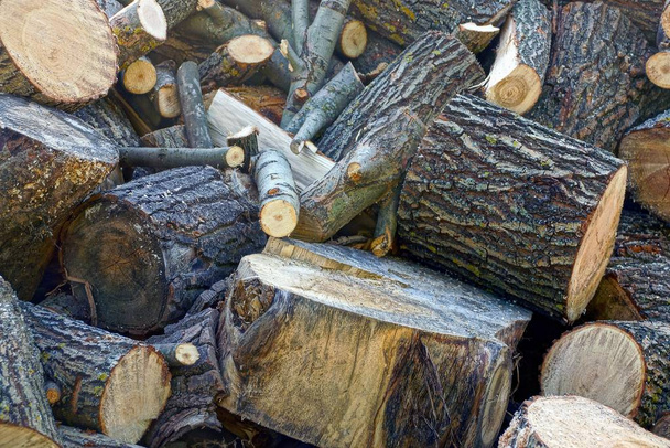 A pile of brown firewood and logs in the yard - Photo, Image