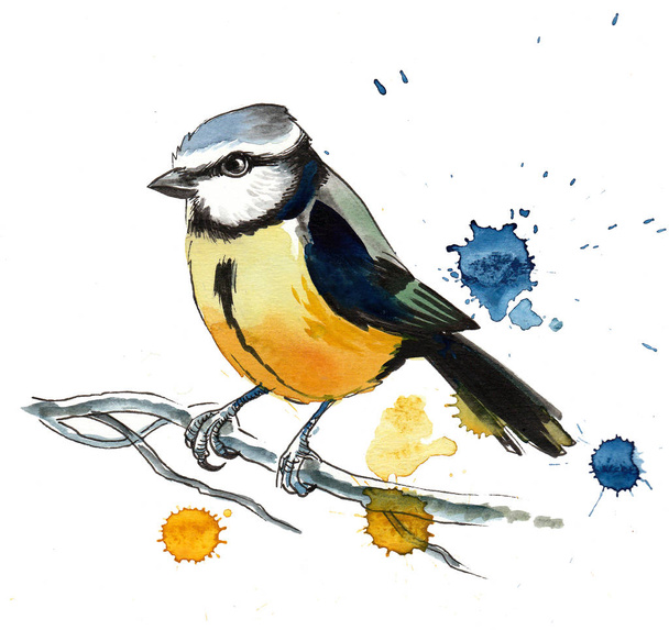 niedlichen gelben Vogel auf einem Ast. Tusche und Aquarell-Illustration - Foto, Bild
