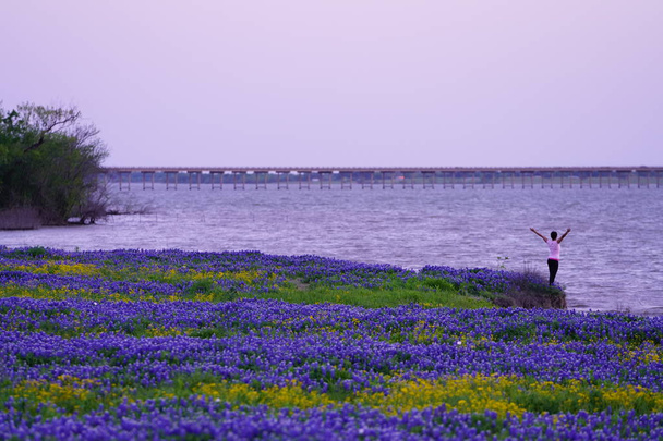 вид ззаду жінки позує з піднятими руками на фіолетовому квітучому полі біля річки
 - Фото, зображення