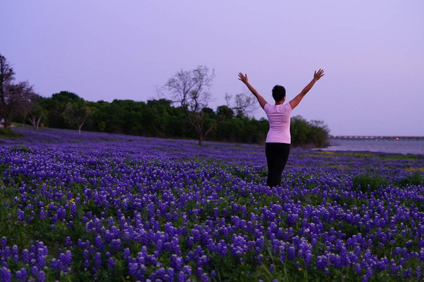 вид ззаду жінки позує з піднятими руками на фіолетовому квітучому полі біля річки
 - Фото, зображення