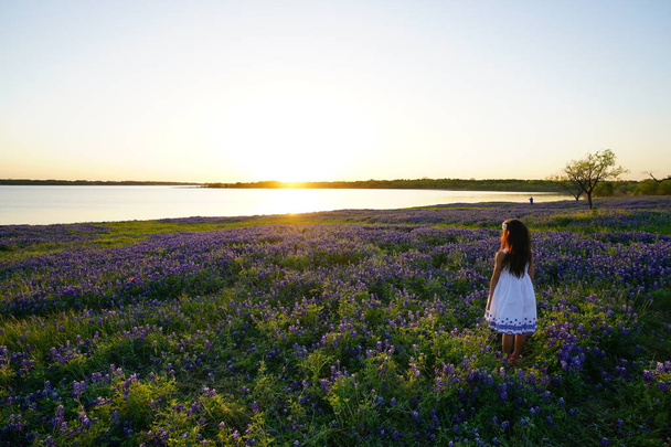 夕暮れ時の湖の湖畔に咲く紫色のフィールドに立っている女の子の背面図 - 写真・画像