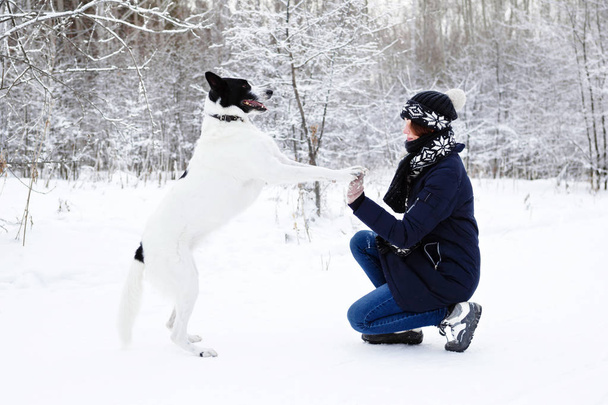 Portrait of beautiful smiling young woman with her black-white dog on a background of winter forest. - Photo, Image