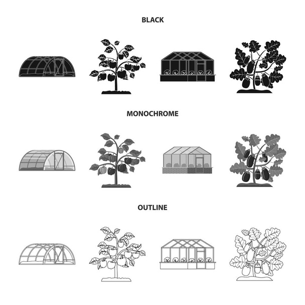 Wektor ilustracja znak cieplarnianych i roślin. Zestaw cieplarnianych i ogród symbol giełdowy dla sieci web. - Wektor, obraz