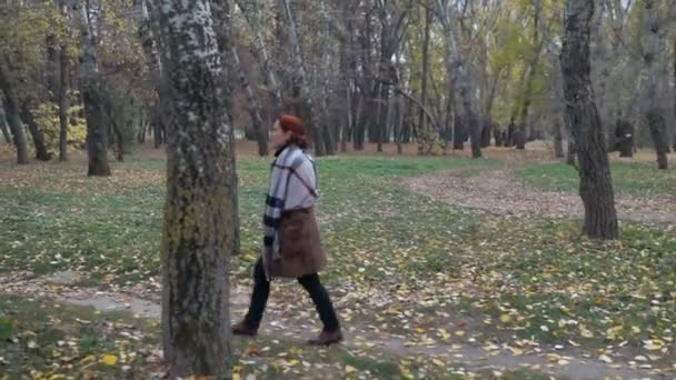 La mujer camina por el parque entre los árboles cubiertos de amarillo
. - Imágenes, Vídeo