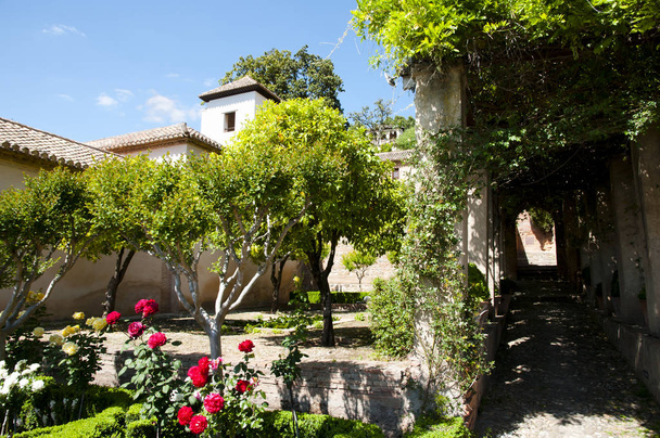 Generalife zahrada v Alhambře - Granada - Španělsko - Fotografie, Obrázek