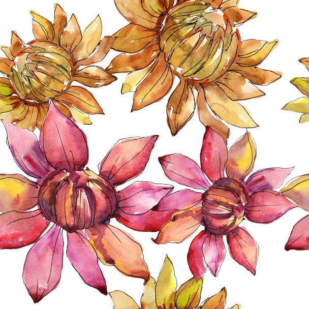 Narancssárga és piros őszirózsák botanikai virág. Akvarell háttér illusztráció készlet. Varratmentes háttérben minta. - Fotó, kép