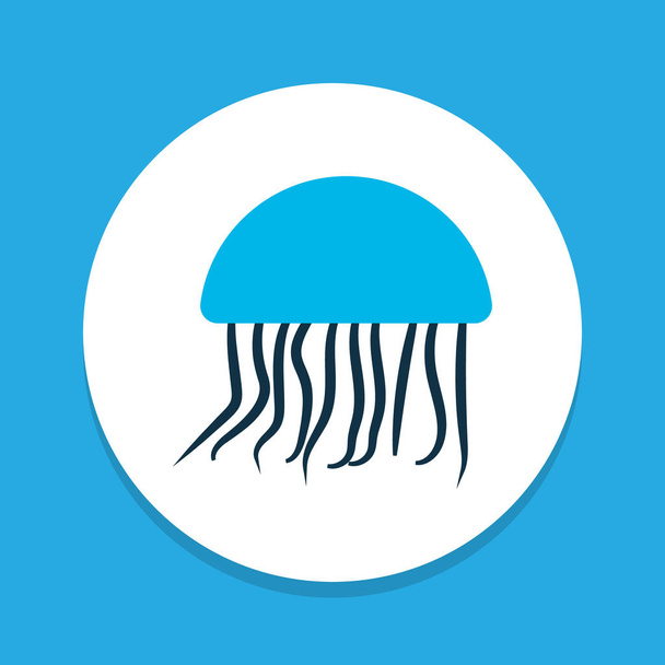 Icono de medusa símbolo de color. Elemento medusa aislado de primera calidad en estilo de moda
. - Foto, imagen