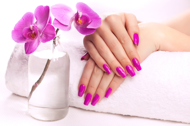female hands with fragrant orchid and towel. - 写真・画像